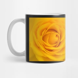 Close-up of yellow rose Mug